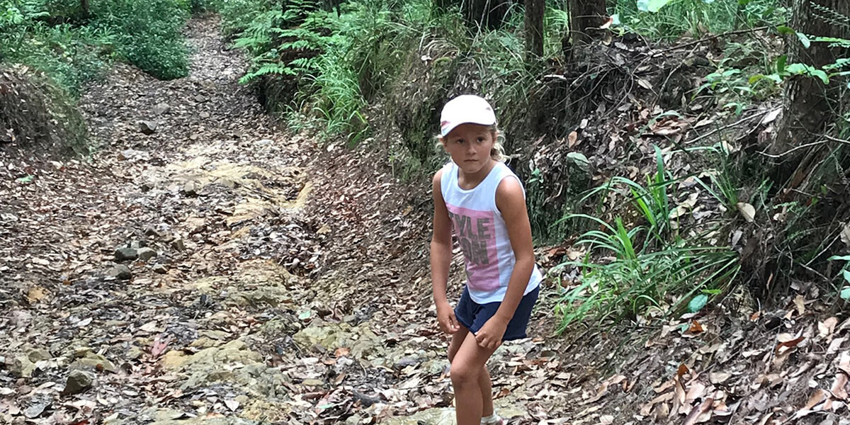 The BEST bushwalks on the Gold Coast for families