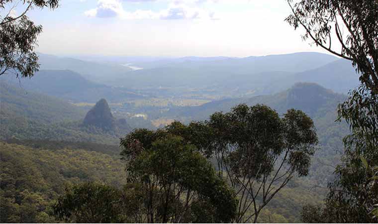 Best Bush Walks on the Gold Coast