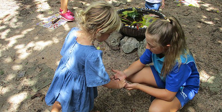 Sunshine bush playgroup