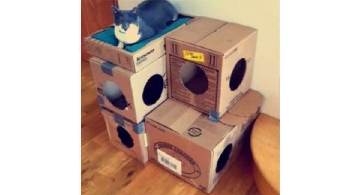 cardboard-cat-house