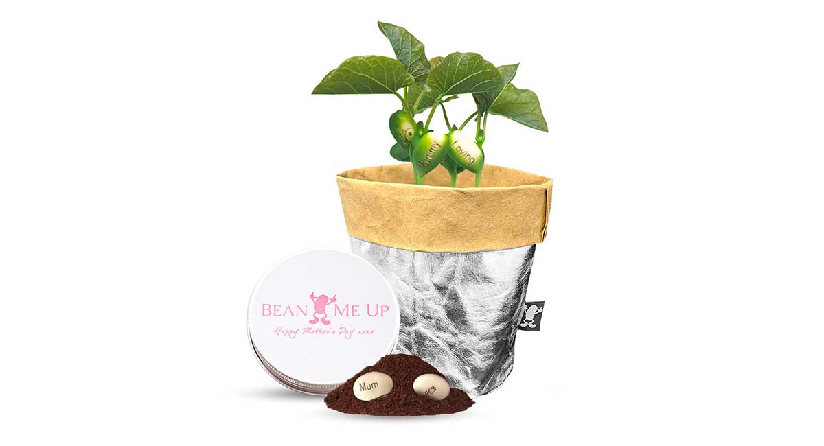 Magic Bean Mothers Day Gifts