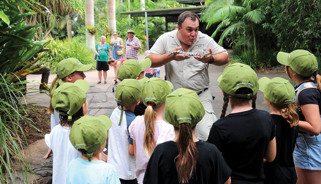 Be a zookeeper for the day at Australia Zoo