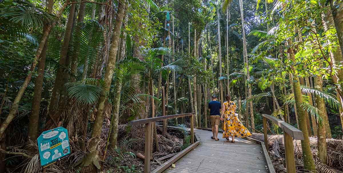 Mary Cairncross Reserve One of the Best Things to Do with Kids on the Sunshine Coast