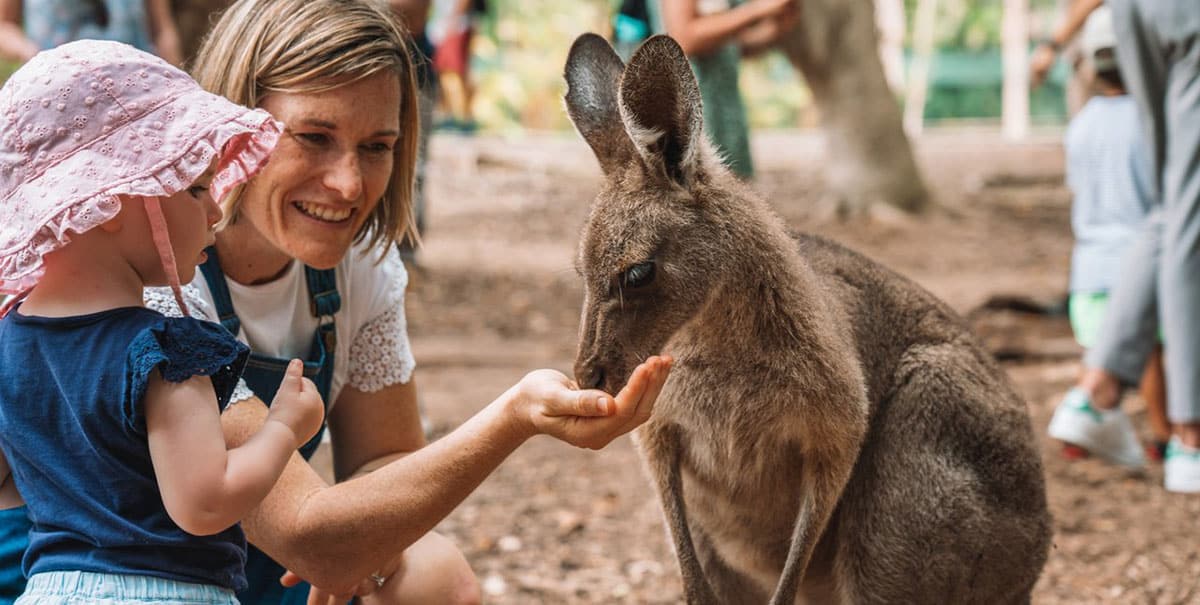 Visiting Australia Zoo with kids? Here’s everything you need to know