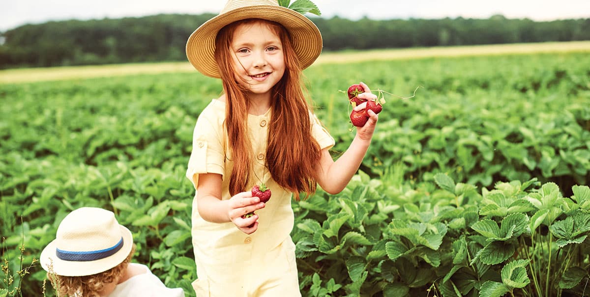 Why we should all go strawberry picking this weekend