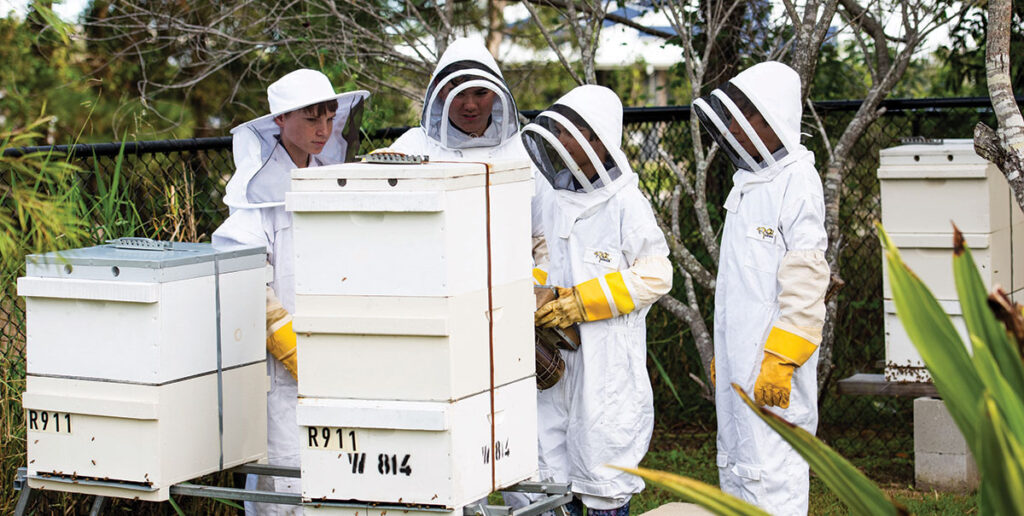 Unitybees | Kids in Brisbane Gold Coast Sunshine Coast | Kotc Bee Keeping at Unity College Sunshine Coast