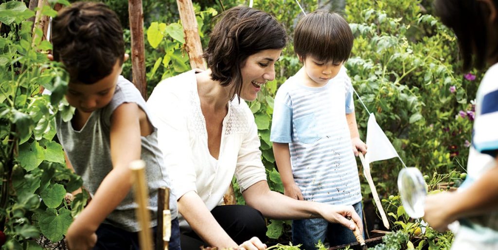 Early Childhood Teacher gardening with children