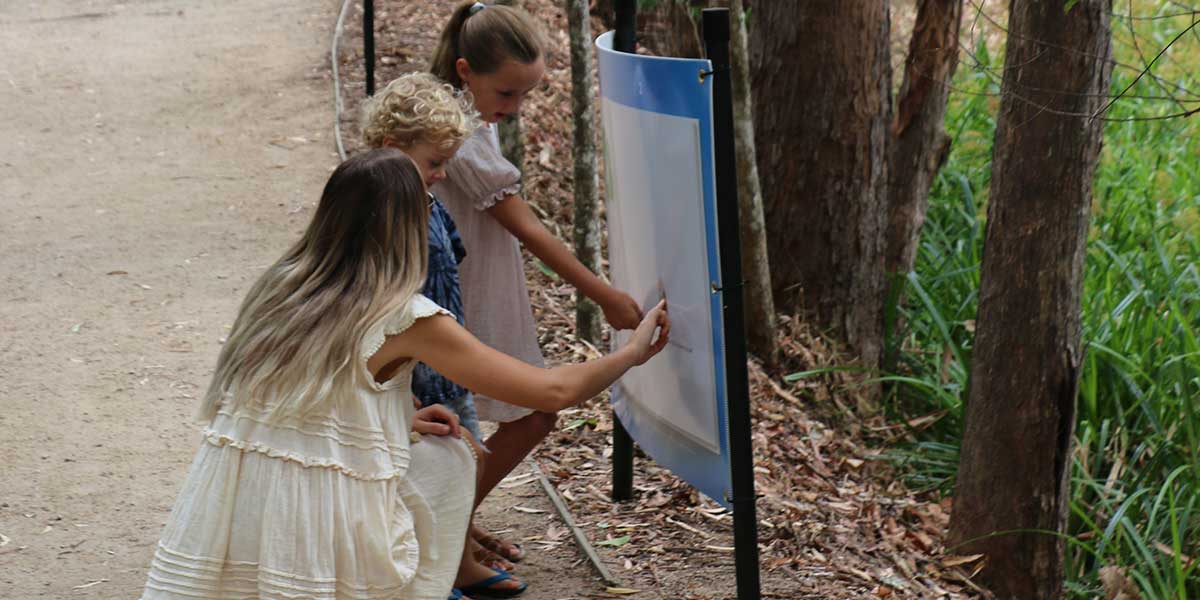 Bust summer boredom with these FREE activities for kids on the Sunshine Coast