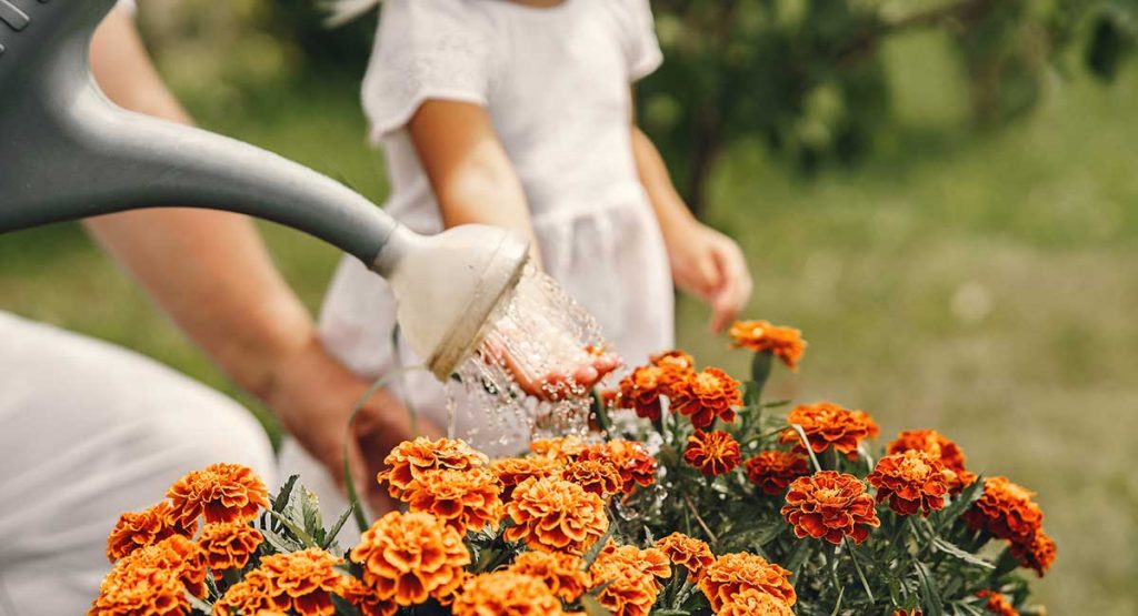 Child Gardening As Part of Reggio Emilia Approach