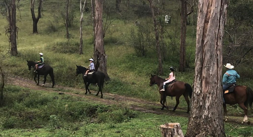 Horse riding at Bestbrook Mountain Farmstay