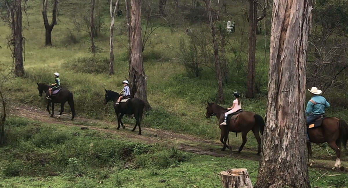 Bestbrook Horse Riding