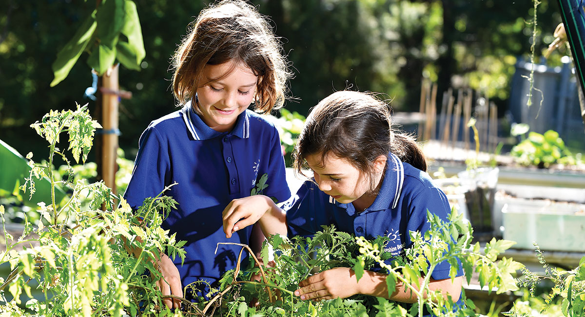 The unique permaculture garden growing sustainable kids