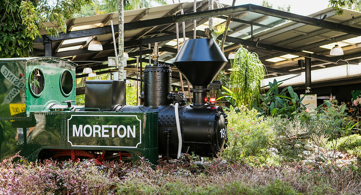 Moreton Train at the Ginger Factory Sunshine Coast