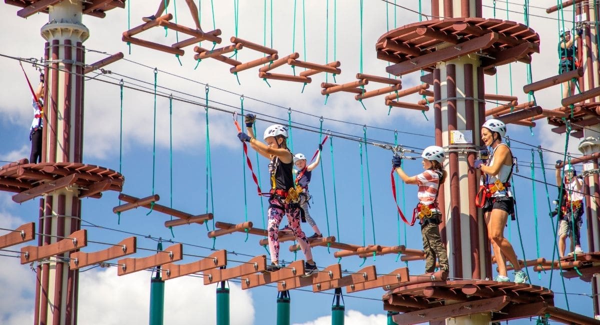 Next Level High Ropes Sunshine Coast