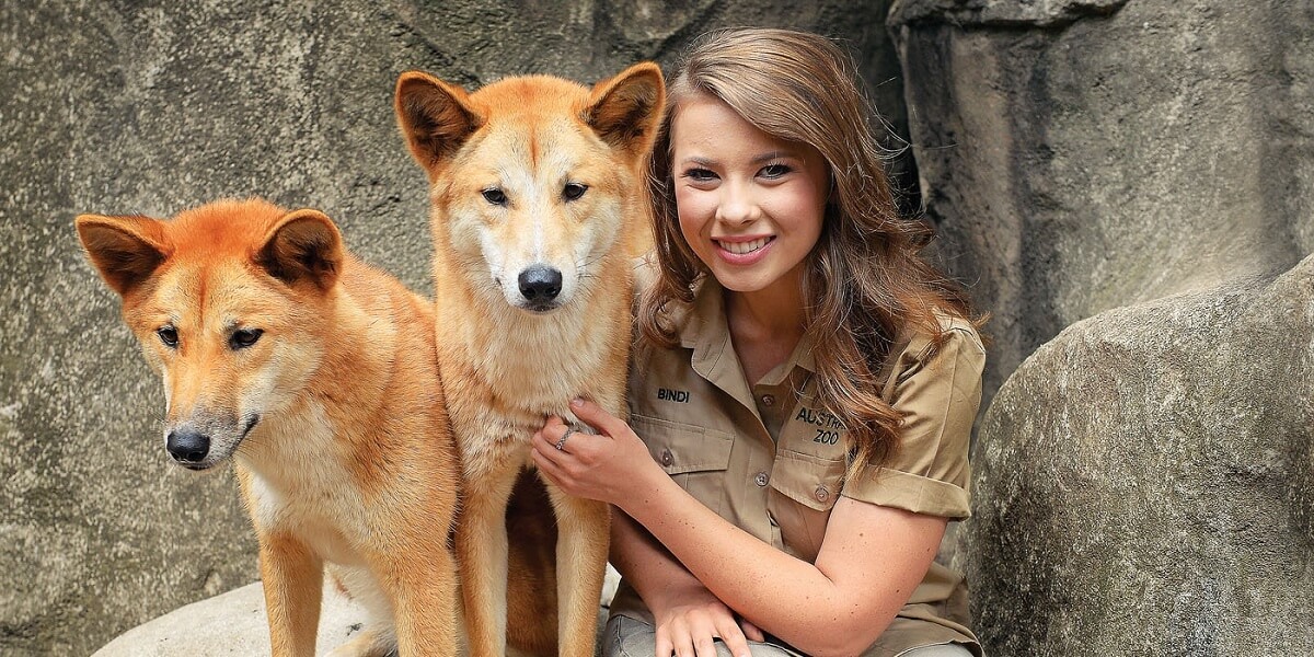 Australia Zoo – The Ultimate Wildlife Adventure