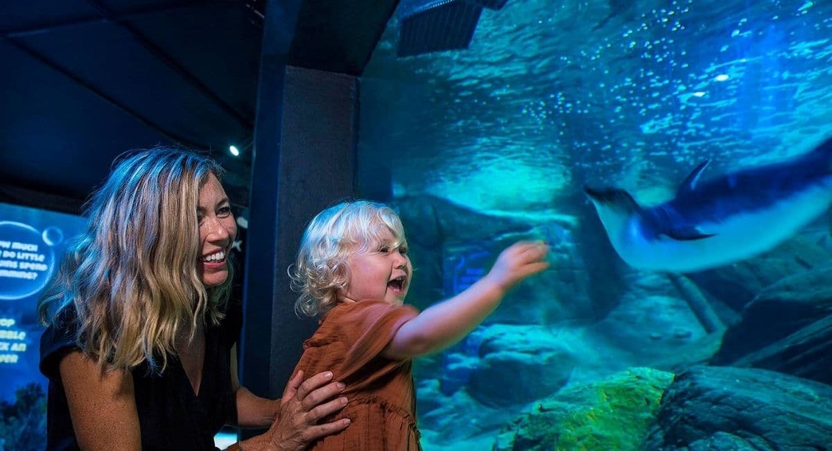 Paw Patrol at SEA LIFE Sunshine Coast