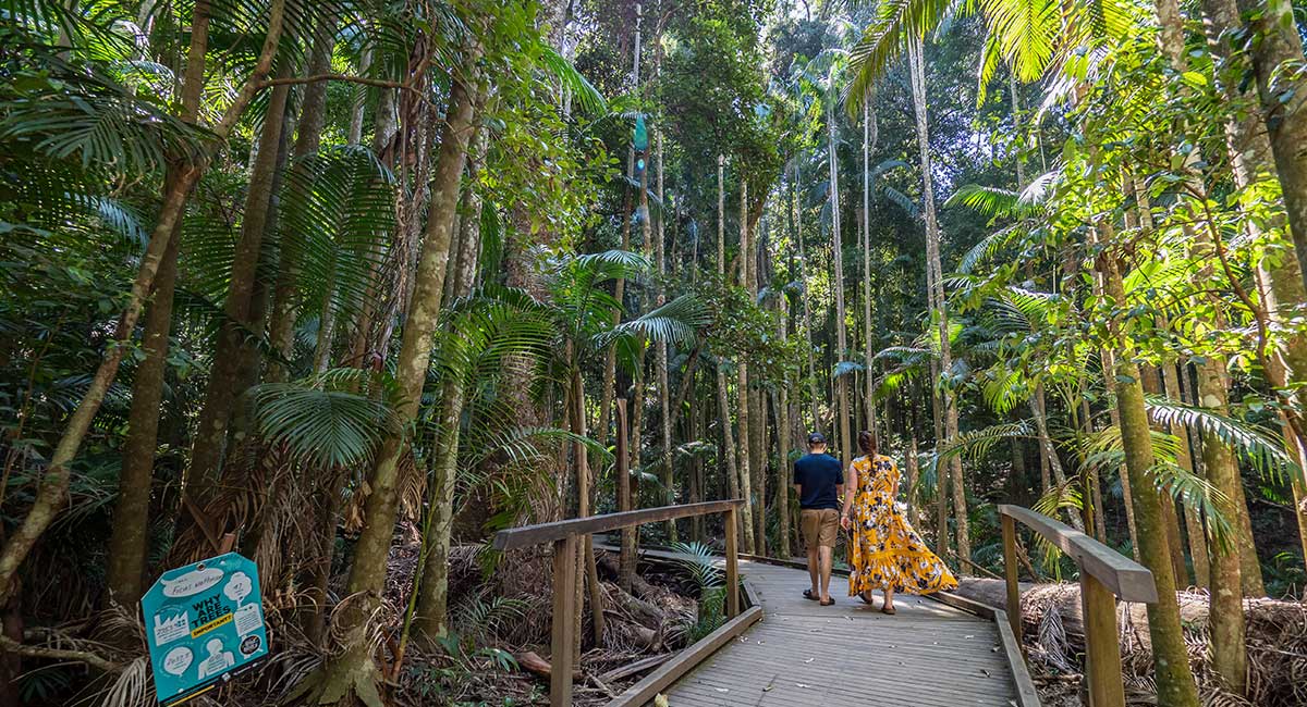 Mary Cairncross Reserve Bushwalk for Kids