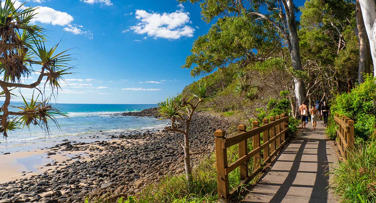 Noosa National Park Walking Track Sunshine Coast