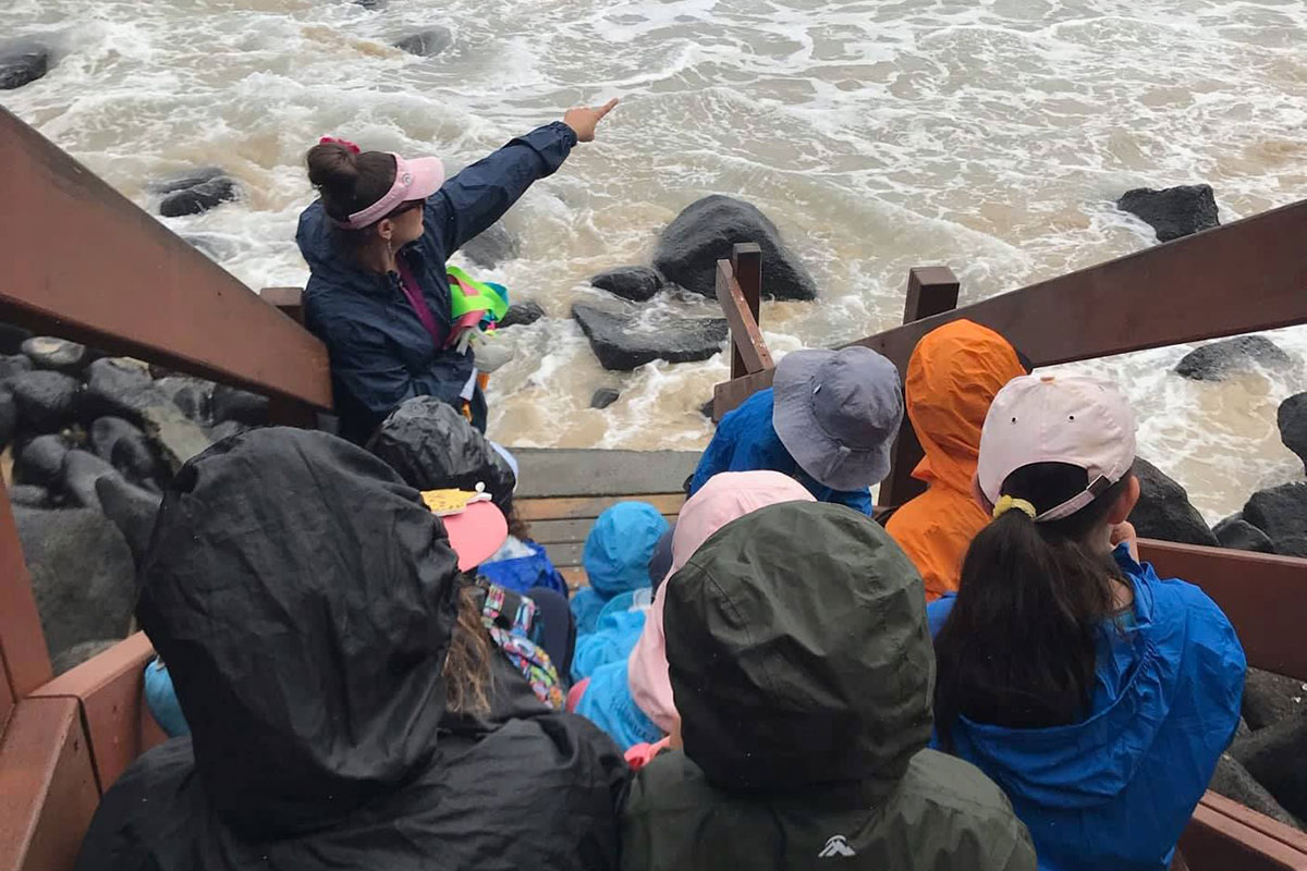 Outdoor Learning with the Village School Gold Coast