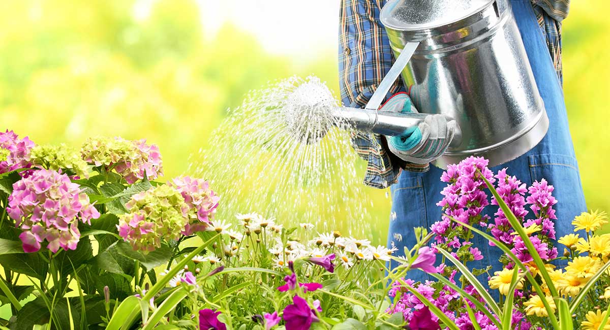 Gardening with Kids