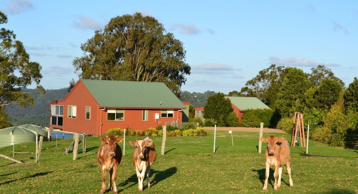 Wittacork Dairy Cottages