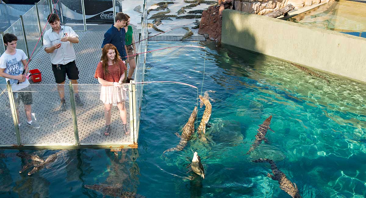 Croc Fishing at Crocosaurus Cove Northern Territory