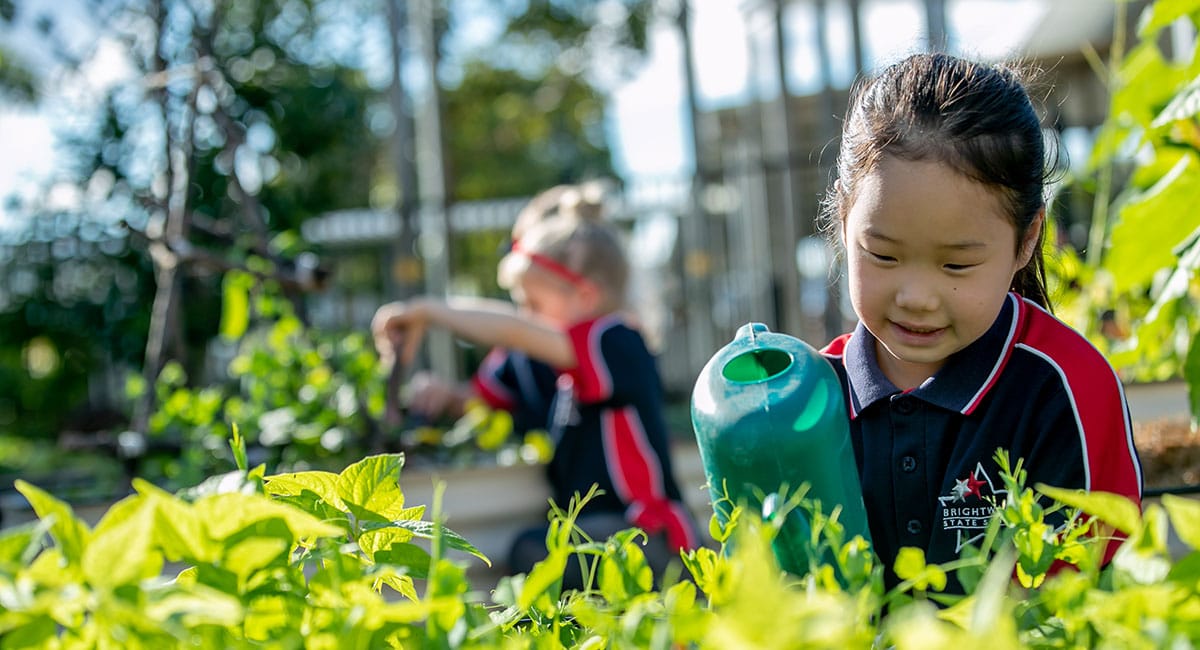 Brightwater State School Gardening