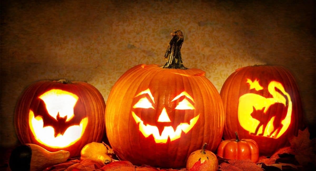 All Treats, No Tricks Halloween Bash