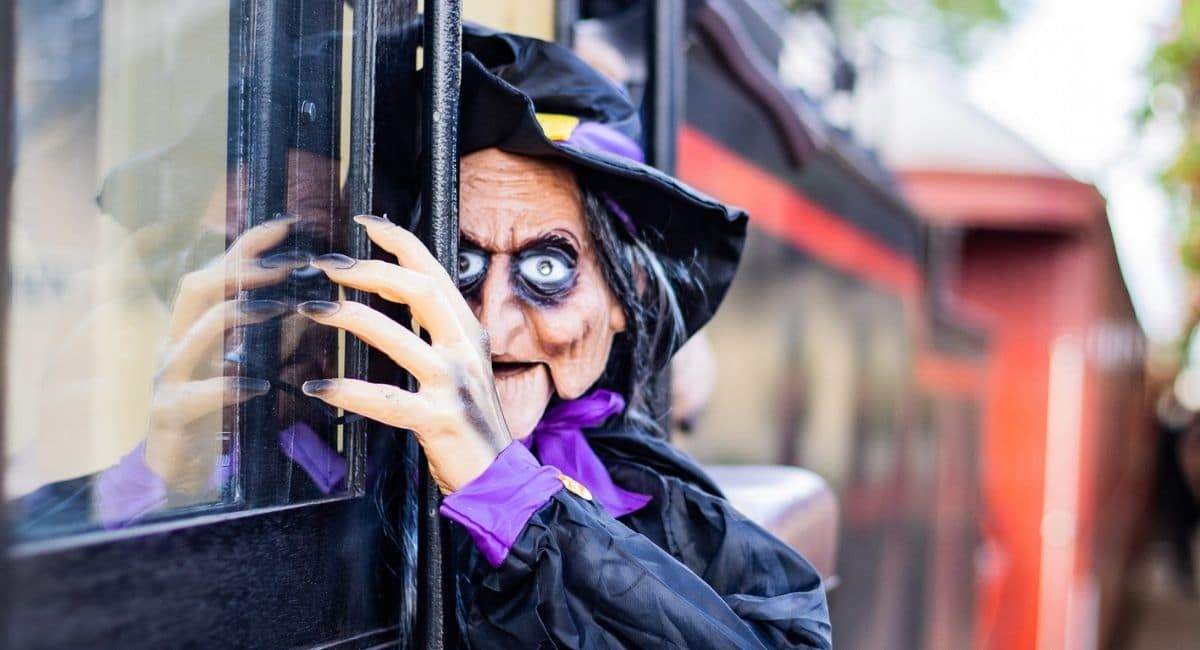 Mary Valley Rattler’s SPOOKtacular Halloween Train | Gympie