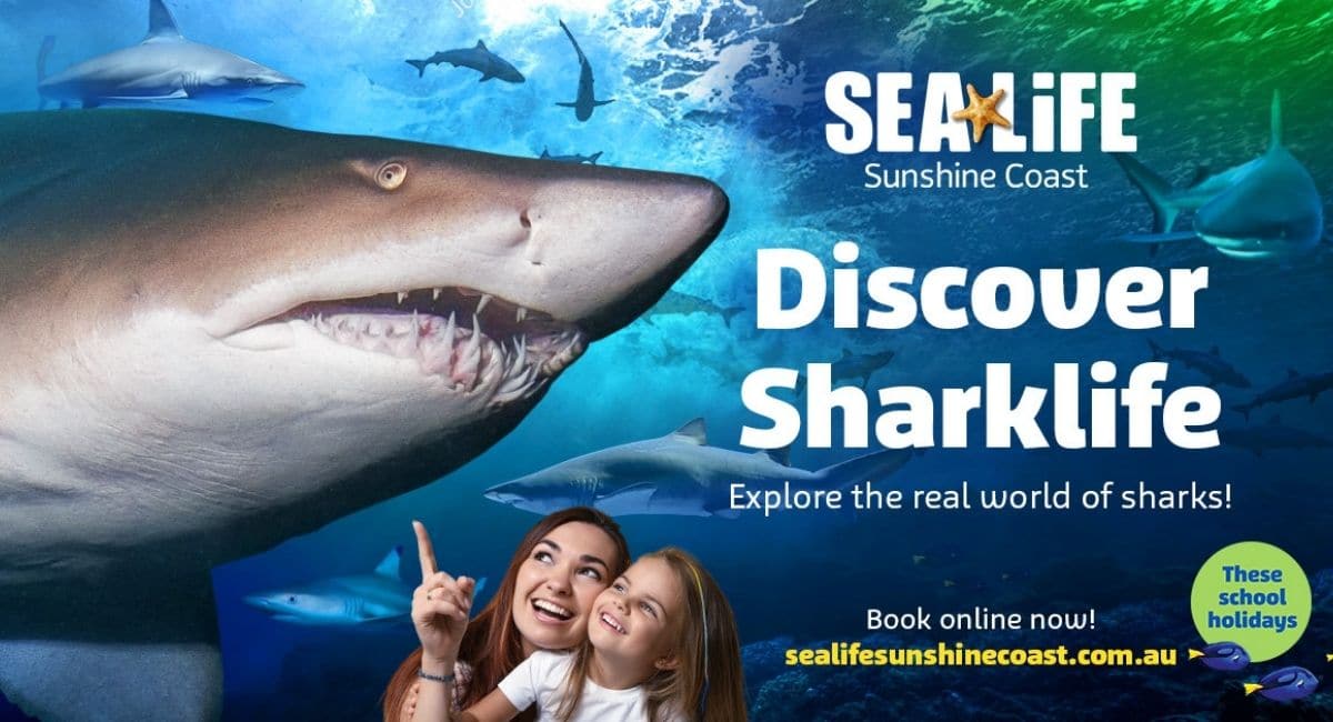 Discover Sharklife at SEA LIFE Sunshine Coast Aquarium before it’s too late!