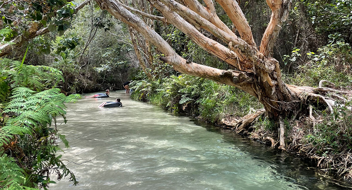Kgari Fraser Island Eli Creek