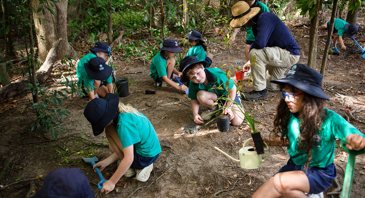 Design Thinking at Flinders year 1 outdoor classroom 1