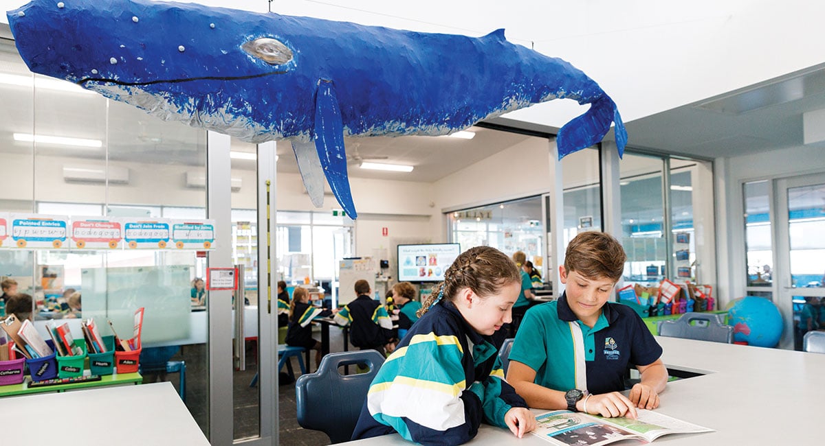Students in classroom at PAcific Lutheran College - a Sunshine Coast School