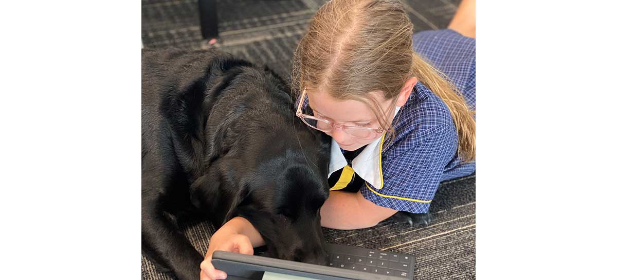 Connie Therapy Dog Immanuel College Sunshine Coast