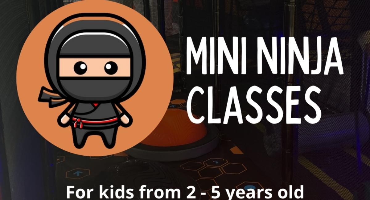 Mini Ninja Classes