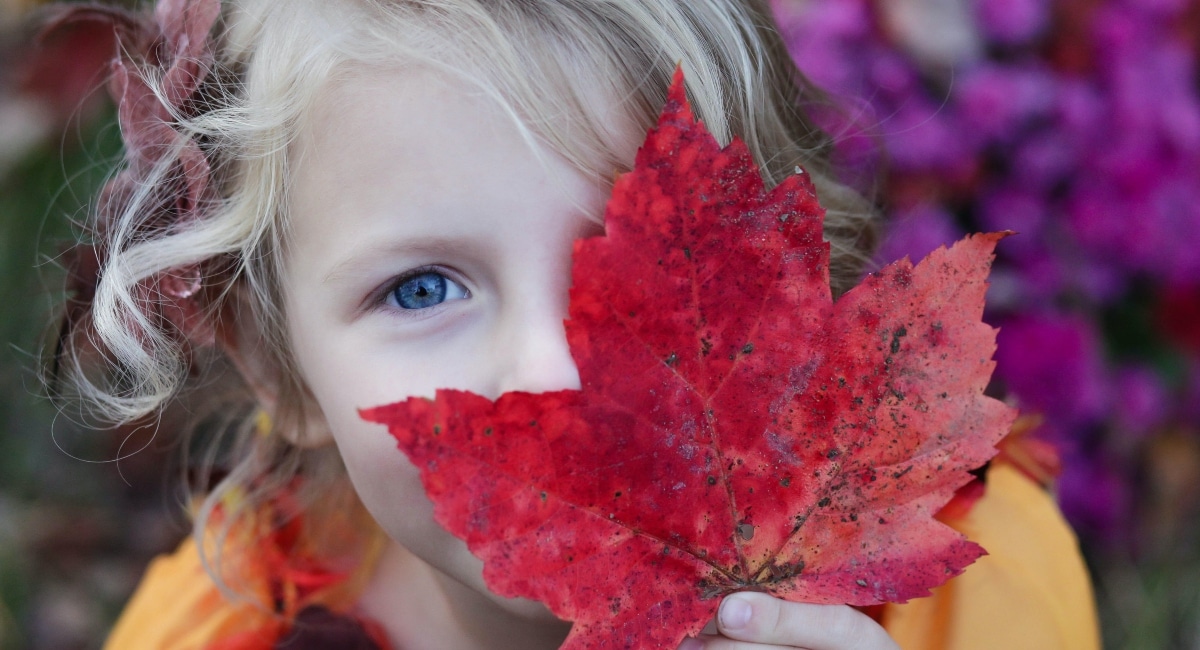 10 Nature play activities to enjoy at home