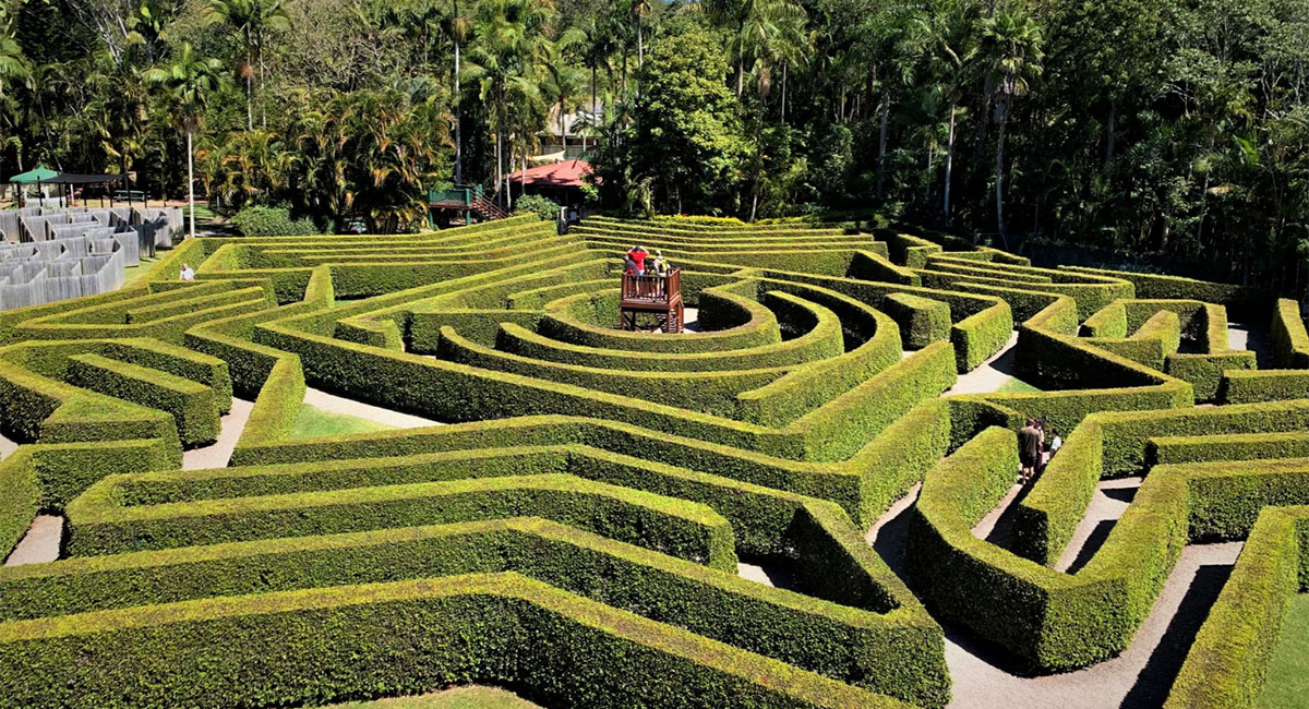 Hedge maze at Amaze World