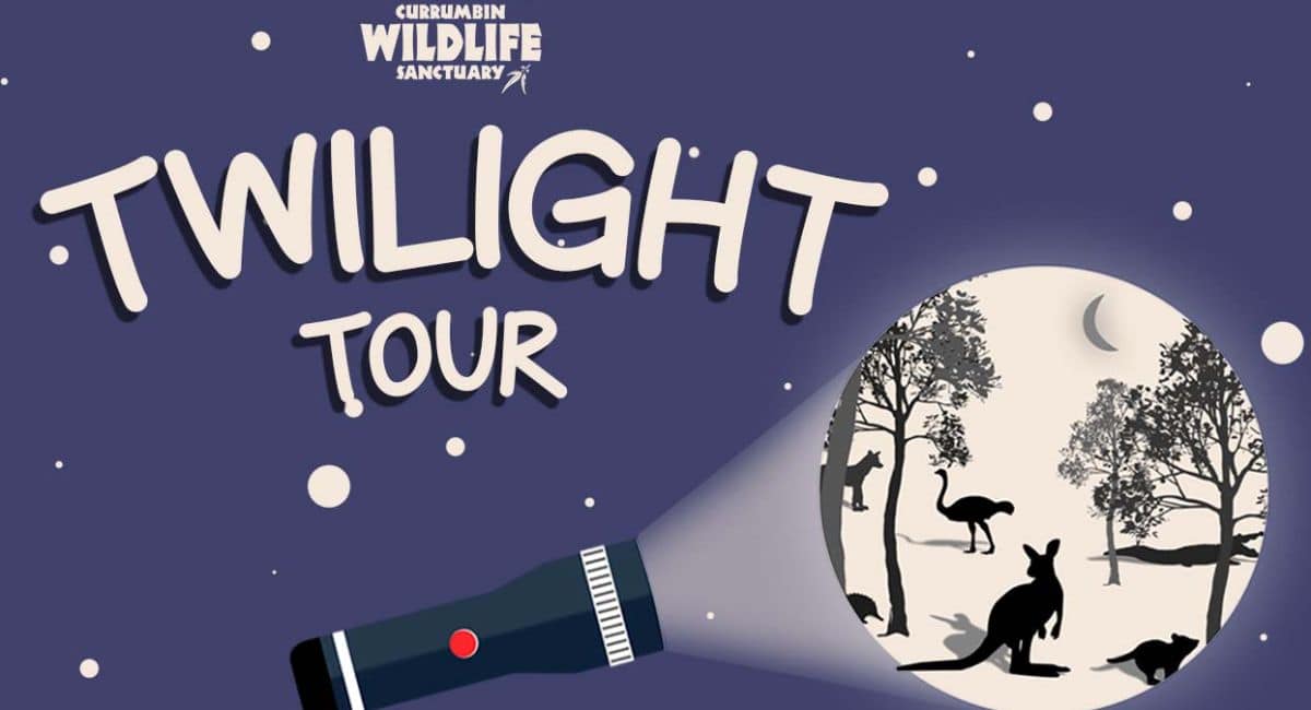 Currumbin Wildlife Twilight Tour
