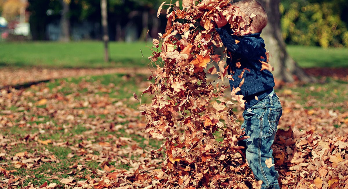 Toddler enjoying messy play with pile of leaves