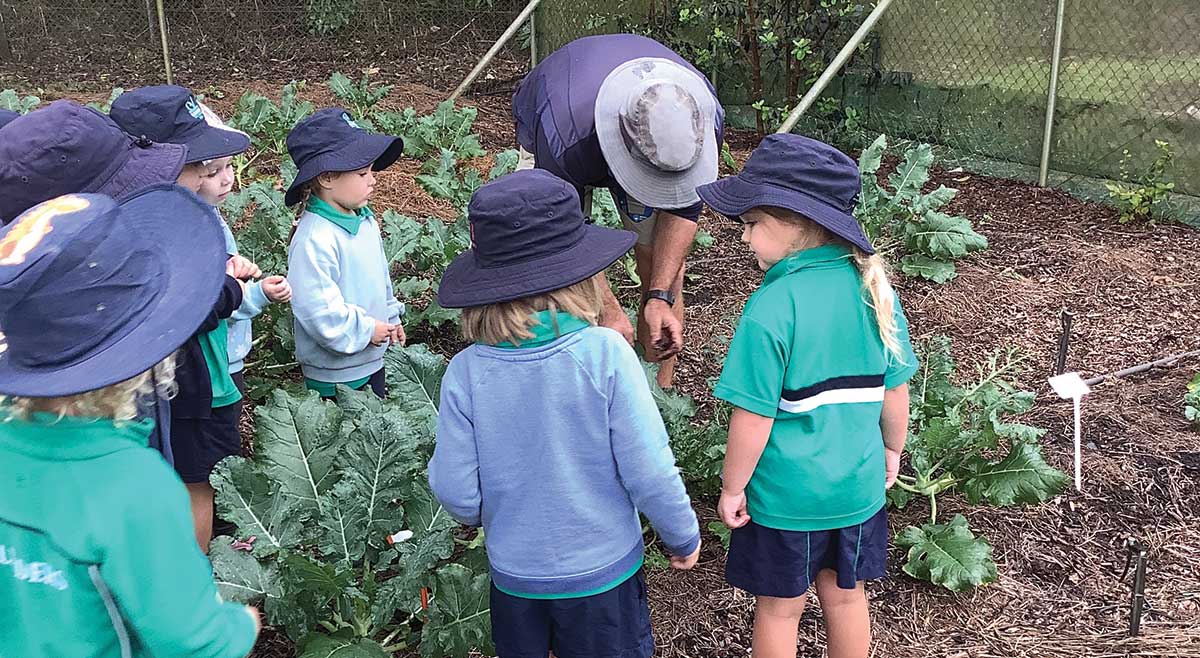 Children embrace Bush Kindy adventures in Buderim