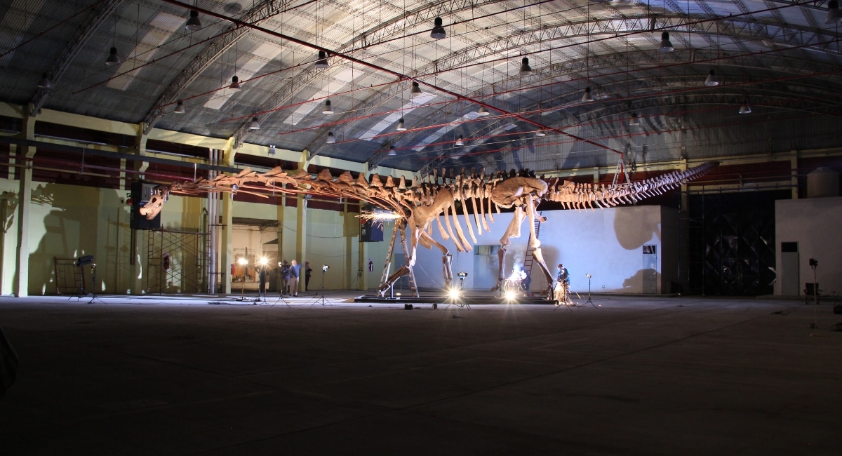 Largest-known land animal to feature in massive new dino exhibition