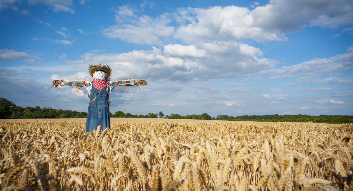 Tamborine Mountain Scarecrow Festival