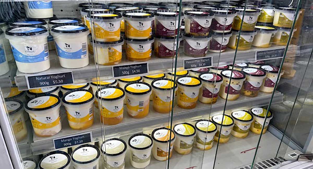 the Range of Yoghurts on Offer at Kenilworth Dairies