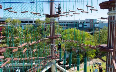 Profile: Next Level High Ropes Adventure Park