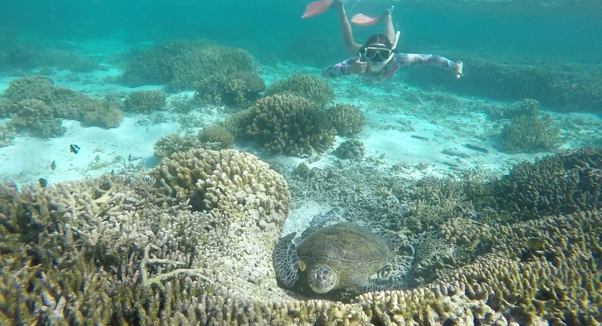 A family review of Lady Elliot Island