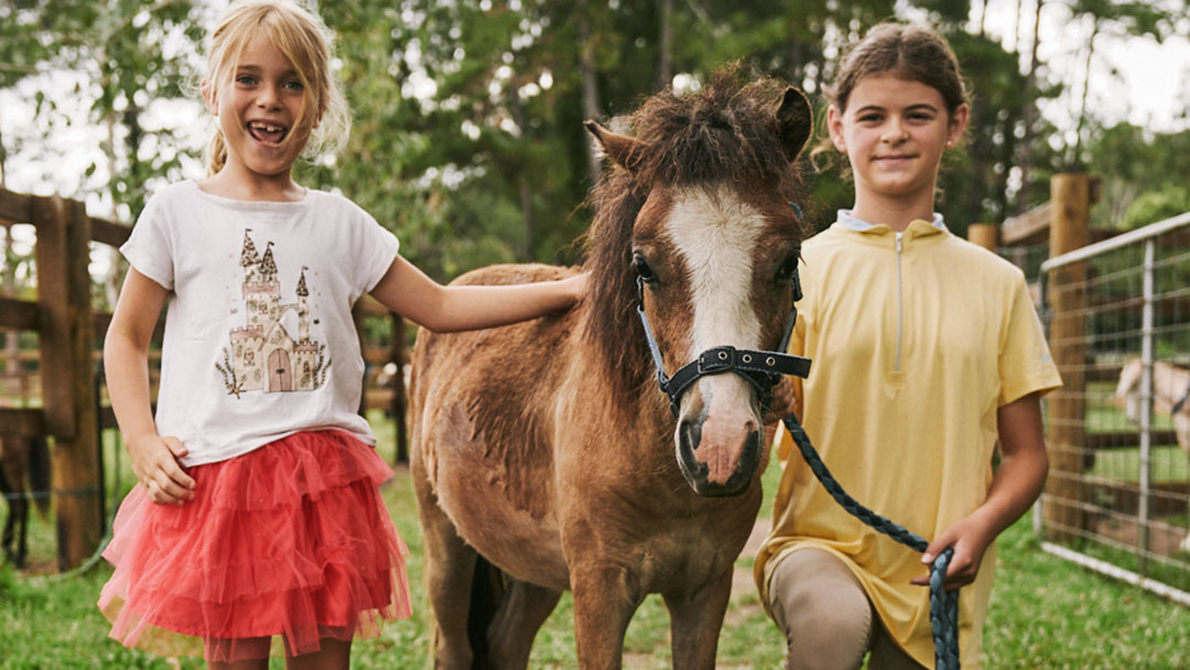 Kid with Disabilities Cares for a Miniature Pony at Sunshine Coast out of Hours Ndis Care