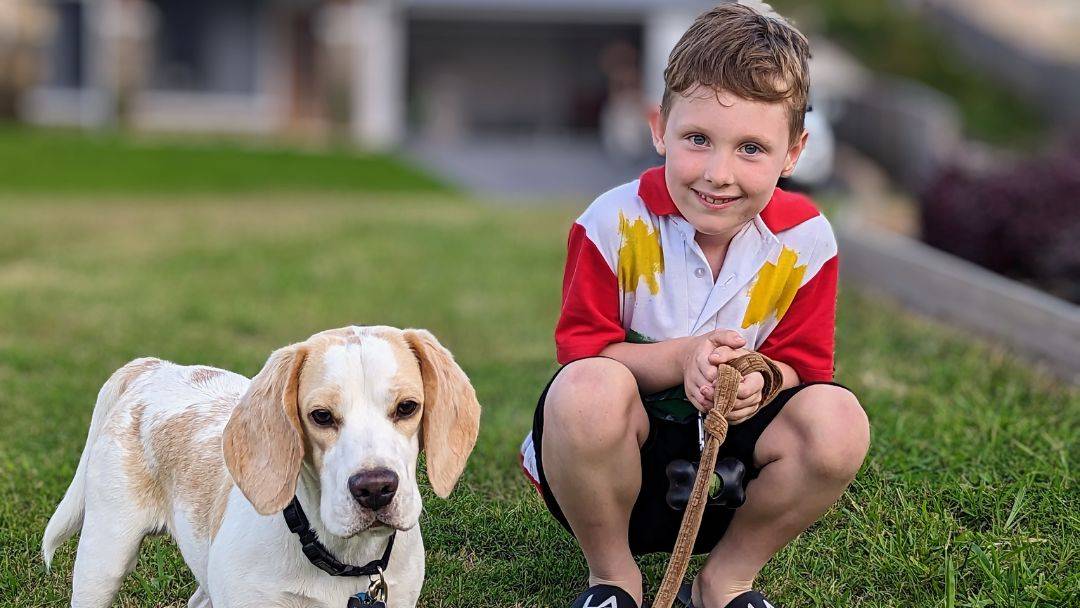 Profile: Sunshine Coast Council – Pet education