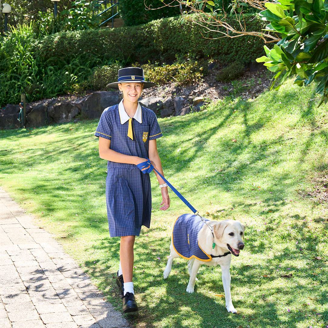 Lucy the Therapy Dog and High School Student at Immanuel Lutheran College Sunshine Coast