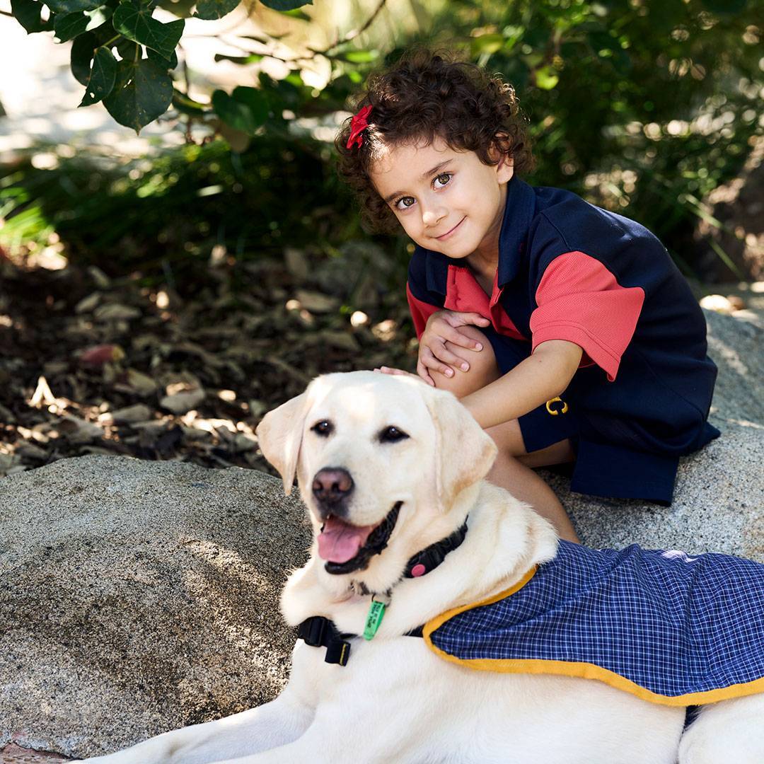 Lucy the Therapy Dog and Prep Student at Immanuel Lutheran College Sunshine Coast