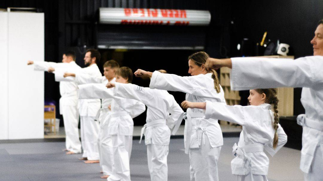 Profile: Karate Academy of Power